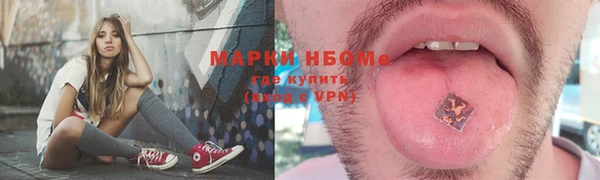 ALPHA PVP Чердынь