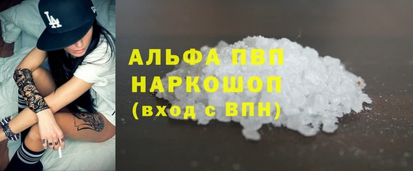 ALPHA PVP Чердынь