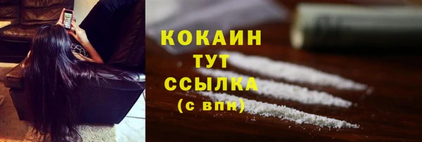молекула духа Чекалин