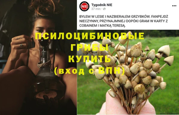 гашиш Чегем