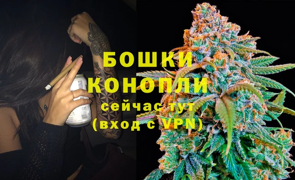 молекула духа Чекалин