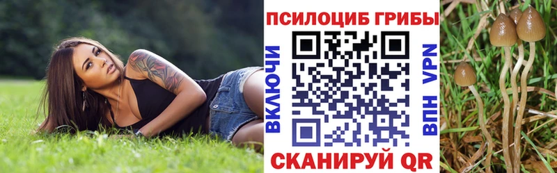 Галлюциногенные грибы Psilocybe  как найти закладки  Яровое 
